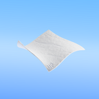 Geistlich Bio-Gide®